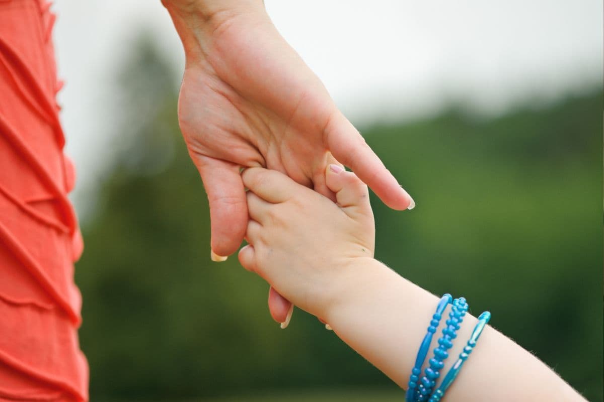 teorie citové vazby 1.jpg